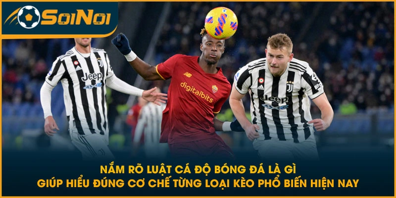 Nắm rõ luật cá độ bóng đá là gì giúp hiểu đúng cơ chế từng loại kèo phổ biến hiện nay