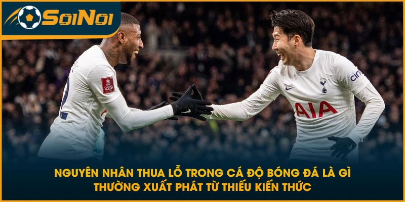 Nguyên nhân thua lỗ trong cá độ bóng đá là gì thường xuất phát từ thiếu kiến thức