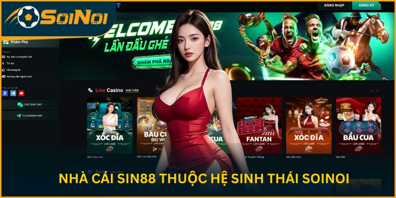 Nhà cái Sin88 thuộc hệ sinh thái SoiNoi