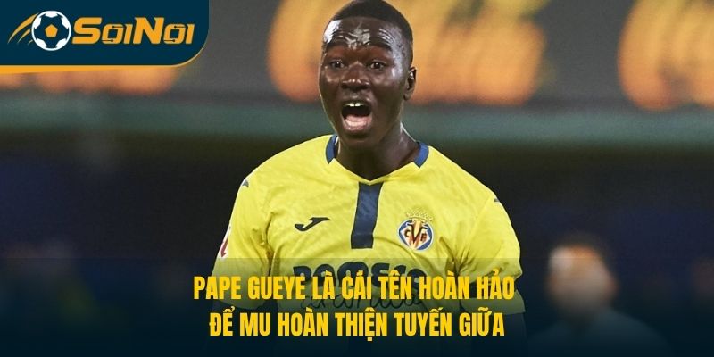 Pape Gueye là cái tên hoàn hảo để MU hoàn thiện tuyến giữa