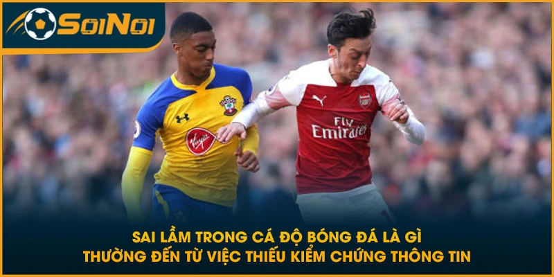 Sai lầm trong cá độ bóng đá là gì thường đến từ việc thiếu kiểm chứng thông tin