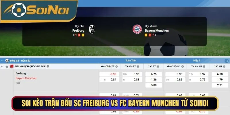 Soi kèo chi tiết trận đấu SC Freiburg vs FC Bayern Munchen từ SoiNoi