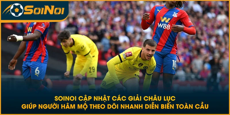 SoiNoi cập nhật các giải châu lục giúp người hâm mộ theo dõi nhanh diễn biến toàn cầu