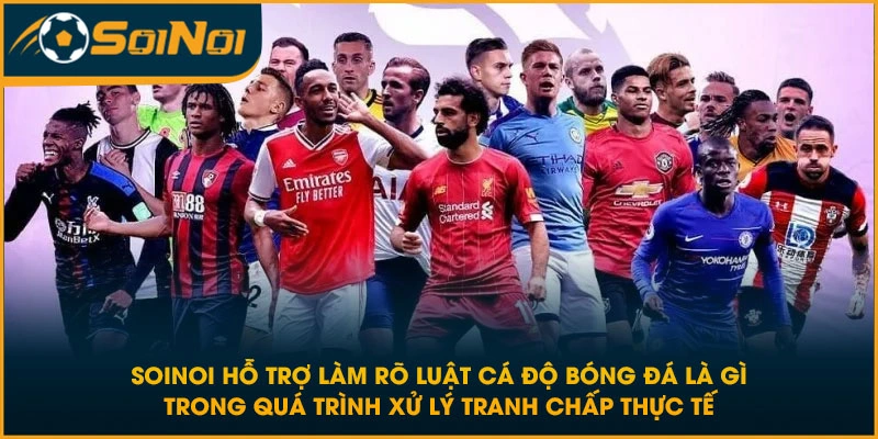 SoiNoi hỗ trợ làm rõ luật cá độ bóng đá là gì trong quá trình xử lý tranh chấp thực tế
