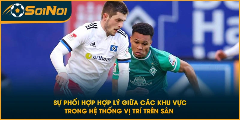 Sự phối hợp hợp lý giữa các khu vực trong hệ thống vị trí trên sân