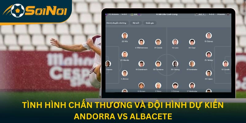 Tình hình chấn thương và đội hình dự kiến