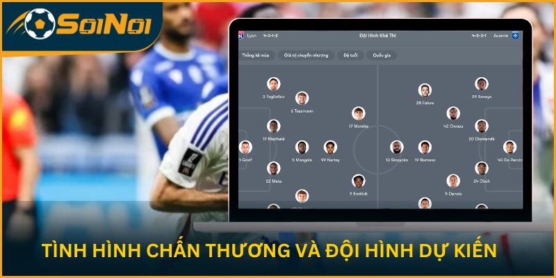 Tình hình chấn thương và đội hình dự kiến