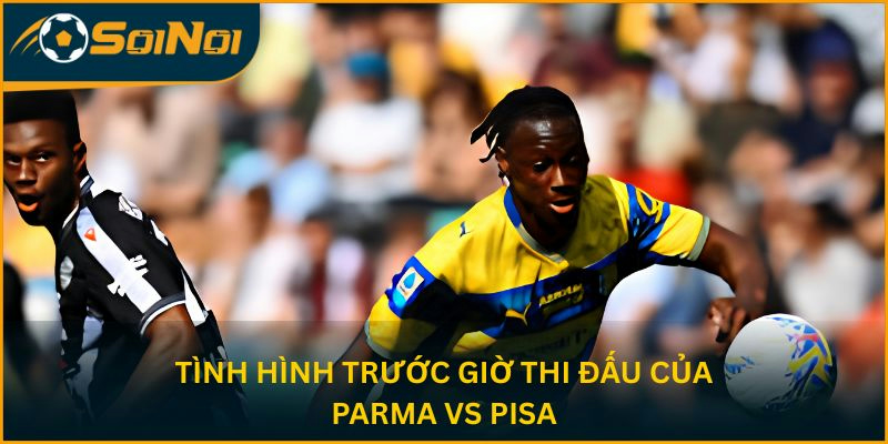 Tình hình trước giờ thi đấu của Parma vs Pisa