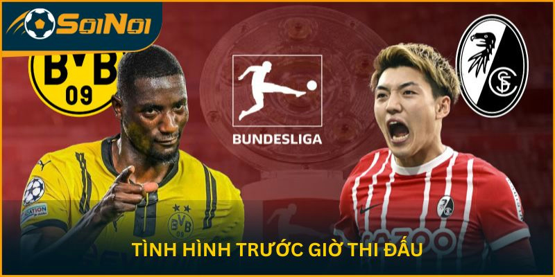 Tình hình trước giờ thi đấu