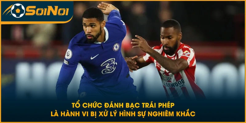 Tổ chức đánh bạc trái phép là hành vi bị xử lý hình sự nghiêm khắc