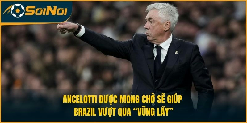 Ancelotti được mong chờ sẽ giúp Brazil vượt qua “vũng lầy”