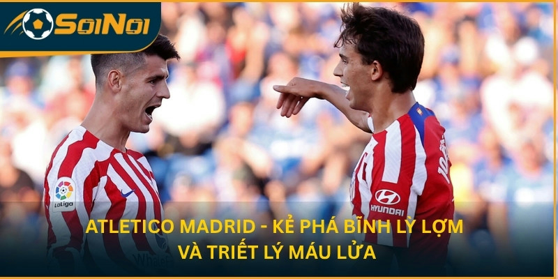 Atletico Madrid - Kẻ phá bĩnh lì lợm và triết lý máu lửa