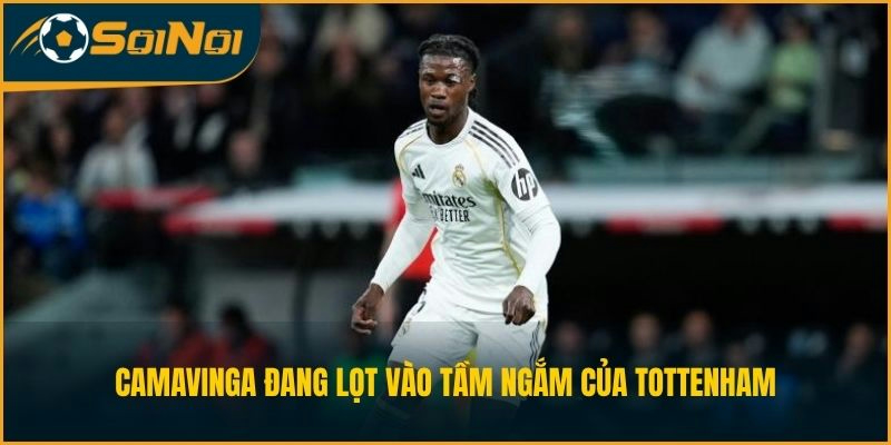 Camavinga đang lọt vào tầm ngắm của Tottenham 