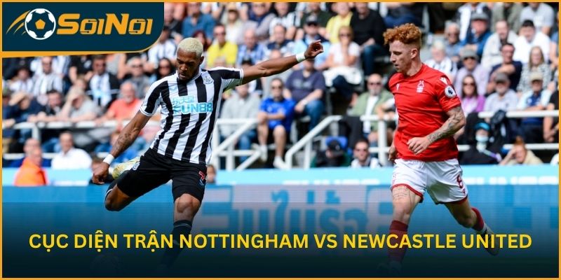 Nhận định cục diện trước trận Nottingham vs Newcastle United