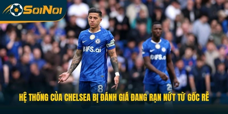 Hệ thống của The Blues bị đánh giá đang rạn nứt từ gốc rễ