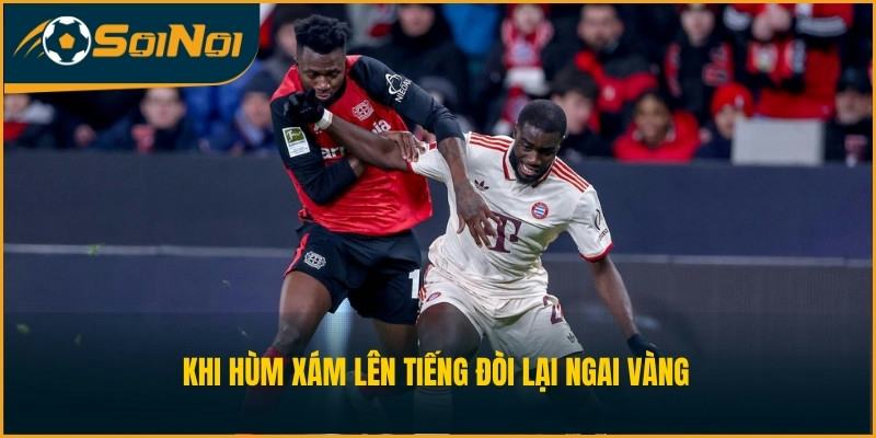 Khi Hùm xám lên tiếng đòi lại ngai vàng