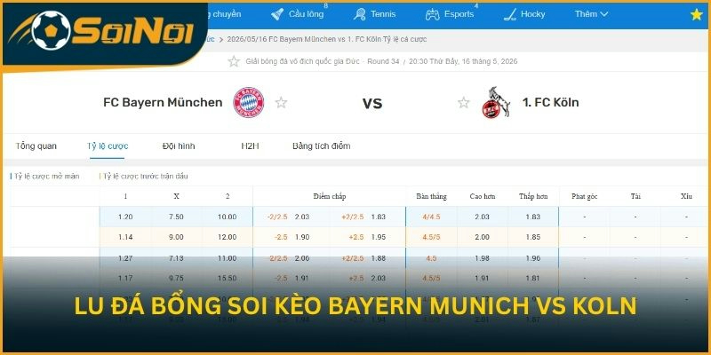 Lu Đá Bổng soi kèo trận đấu Bayern Munich vs Koln