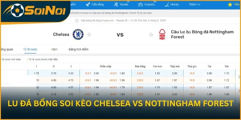 Lu Đá Bổng soi kèo trận đấu Chelsea vs Nottingham Forest