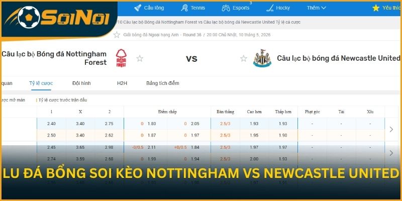 Lu Đá Bổng soi kèo trận đấu Nottingham vs Newcastle United