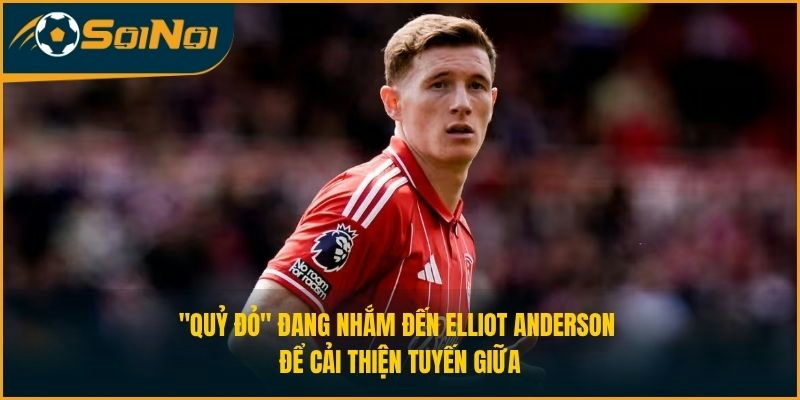 "Quỷ đỏ" đang nhắm đến Elliot Anderson để cải thiện tuyến giữa