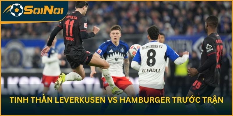 Tinh thần Leverkusen vs Hamburger trước vòng 34