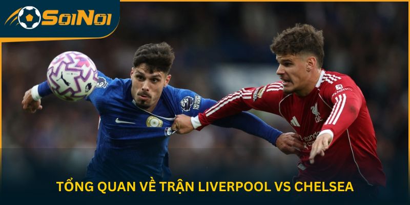 Tổng quan về trận Liverpool vs Chelsea